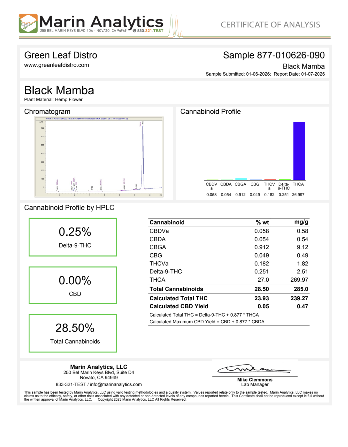 BLACK MAMBA