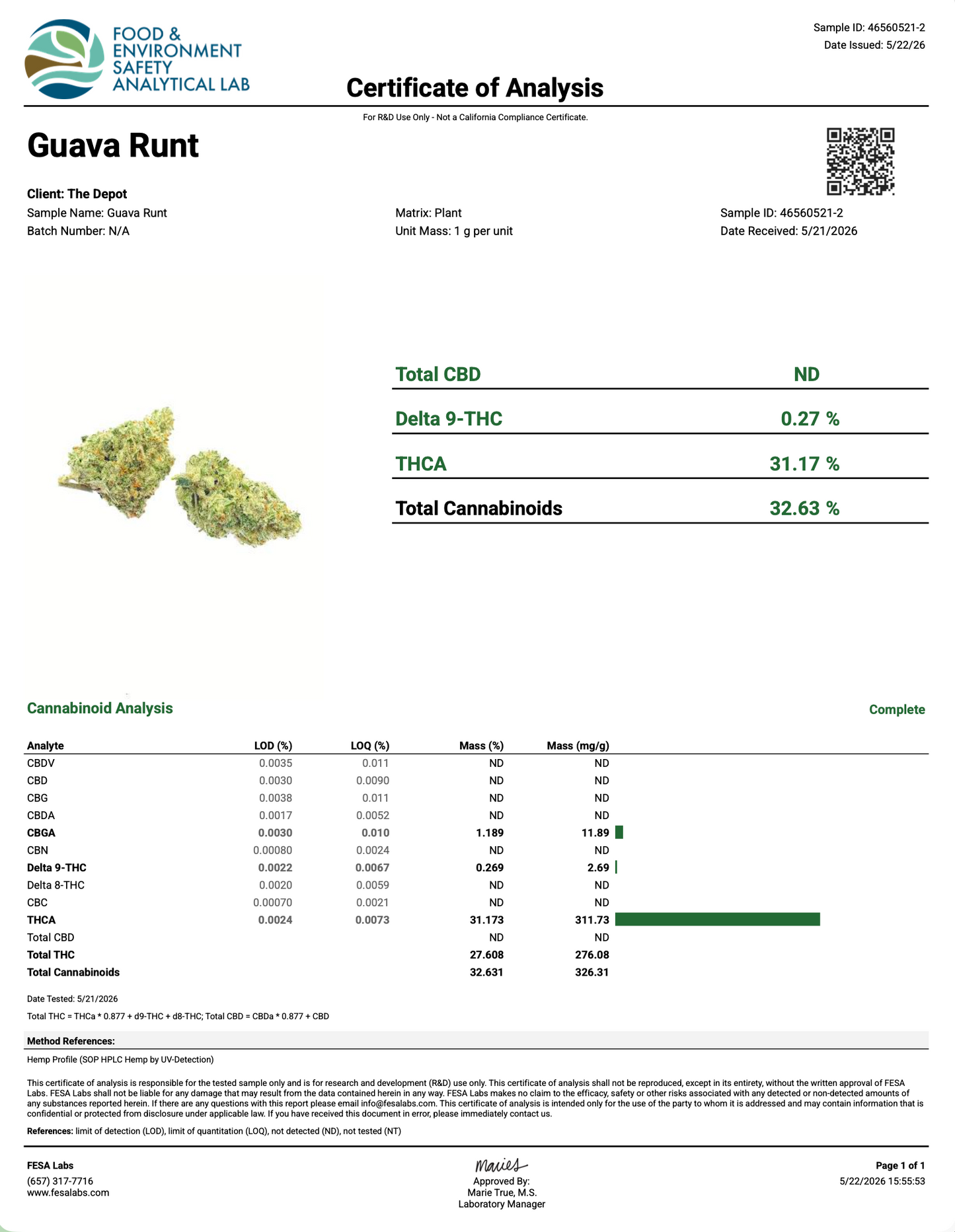 GUAVA RUNTZ