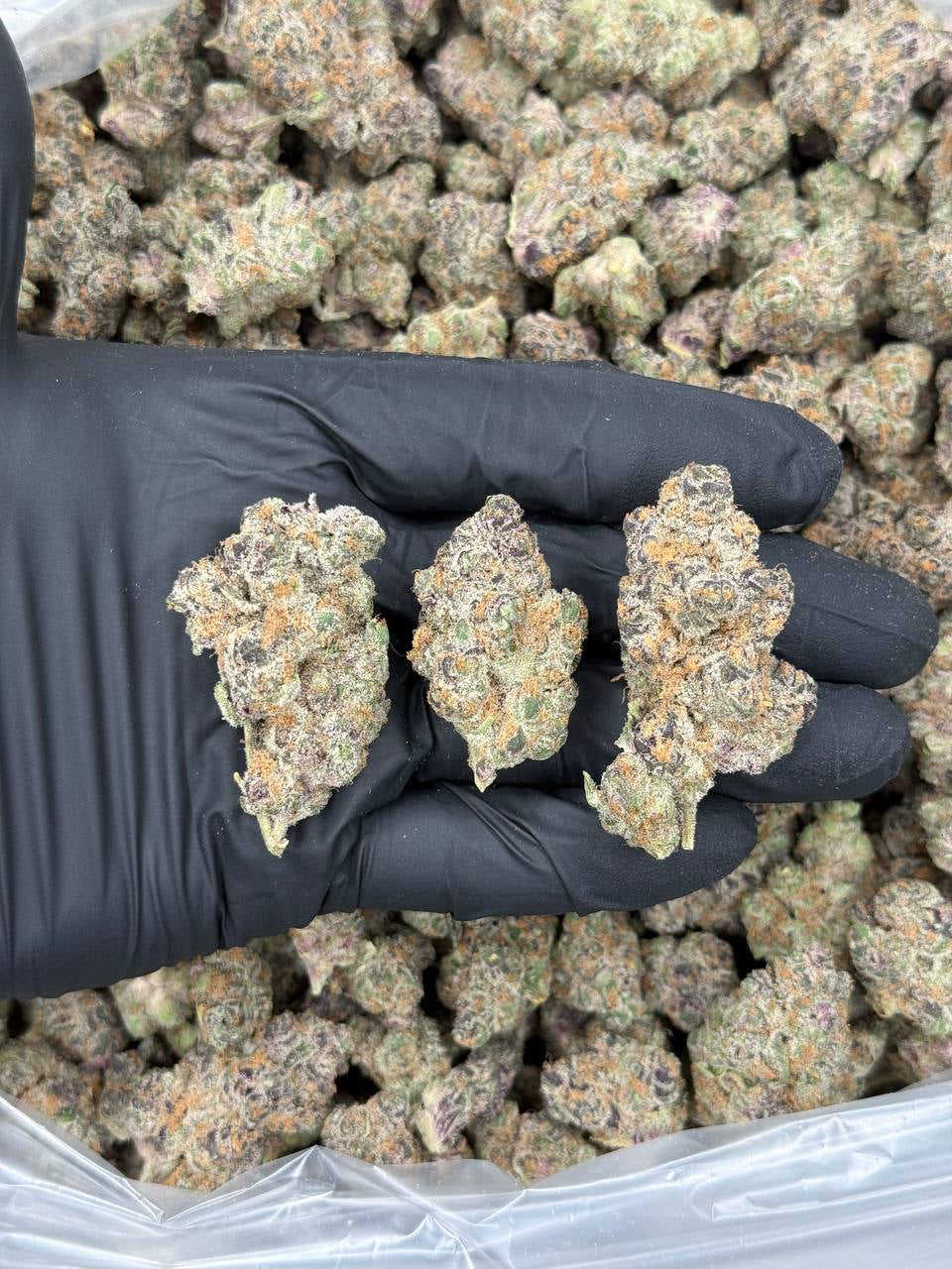 STRAWBERRY SHORTCAKE