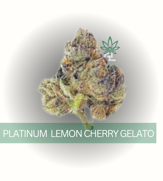 Platinum L.C.G INDICA