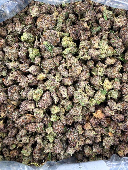 BLACK MAGIC SMALLS