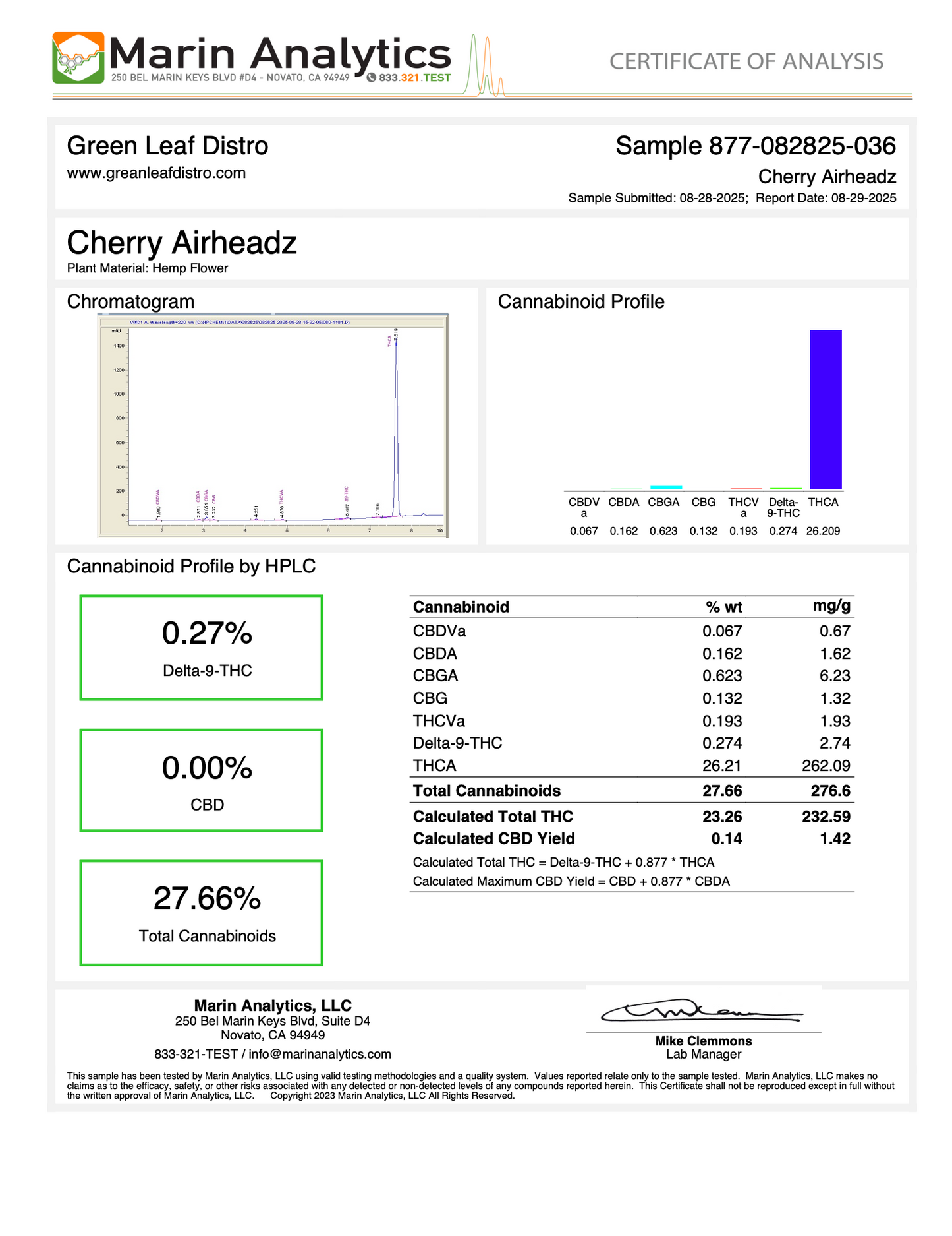 CHERRY AIRHEADZ