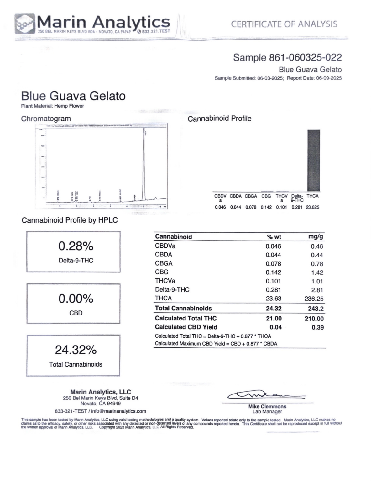 BLUE GUAVA GELATO