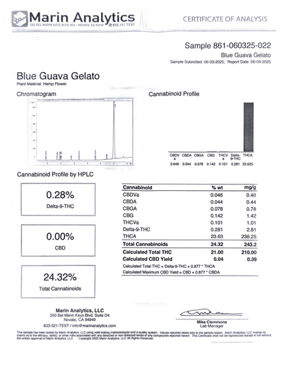 BLUE GUAVA GELATO