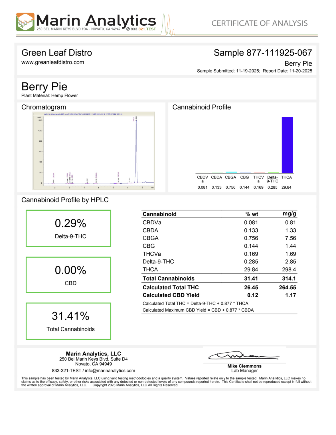 BERRY PIE