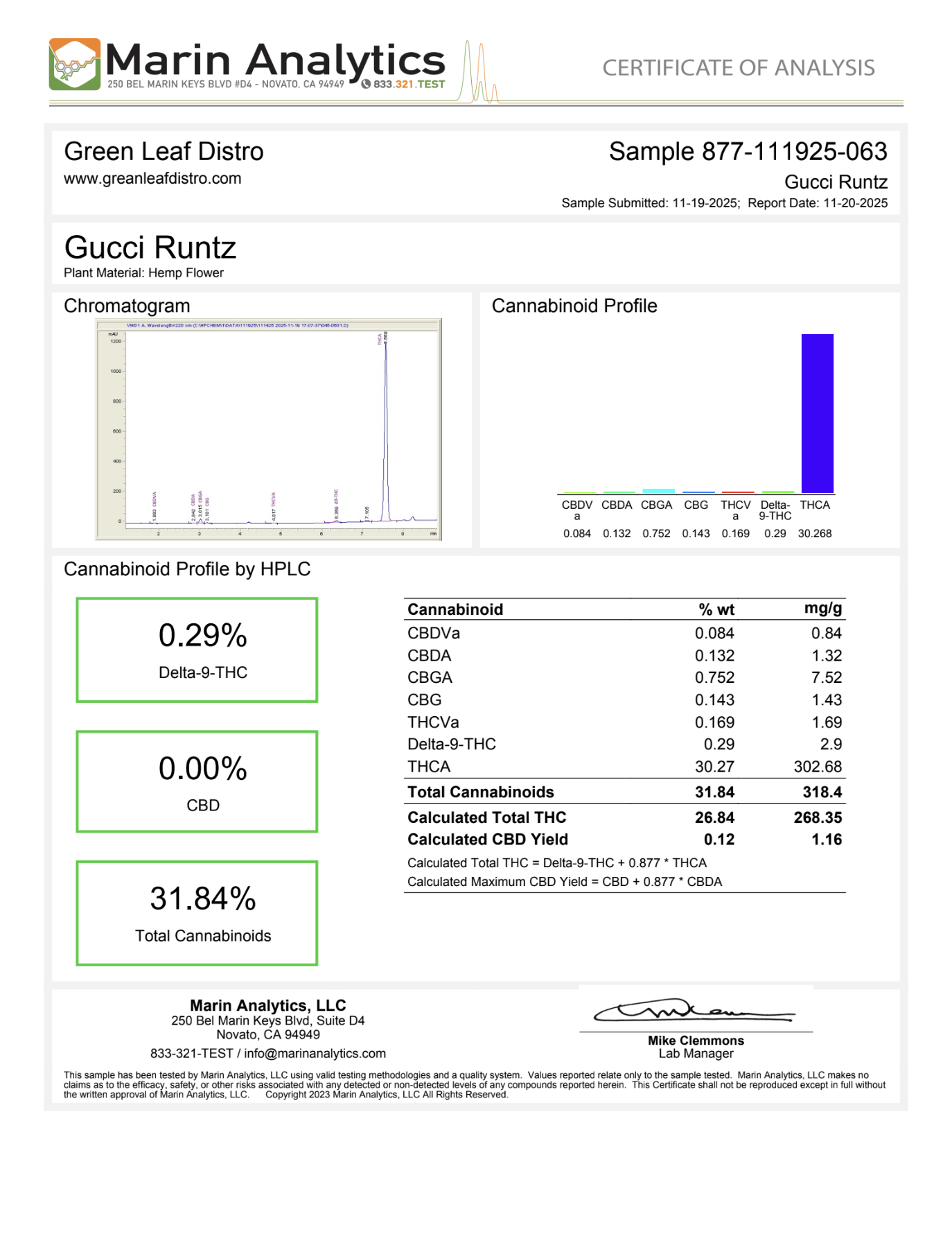 GUCCI RUNTZ