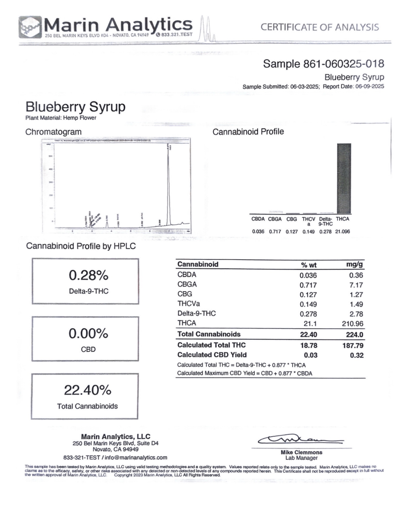 BLUEBERRY SYRUP