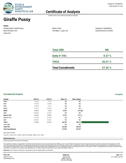 GIRAFFE PUSSY