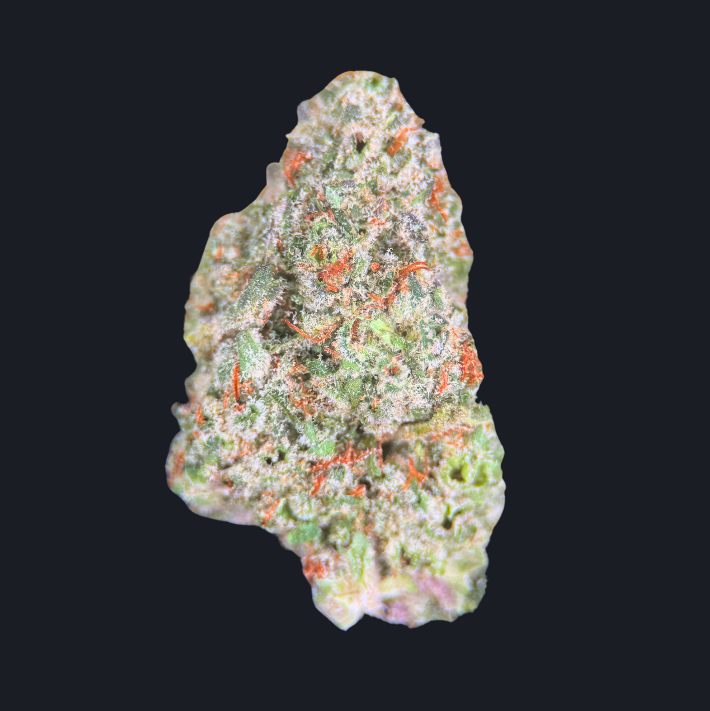 ROCKET BOMB
