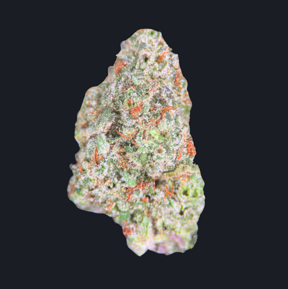 ROCKET BOMB
