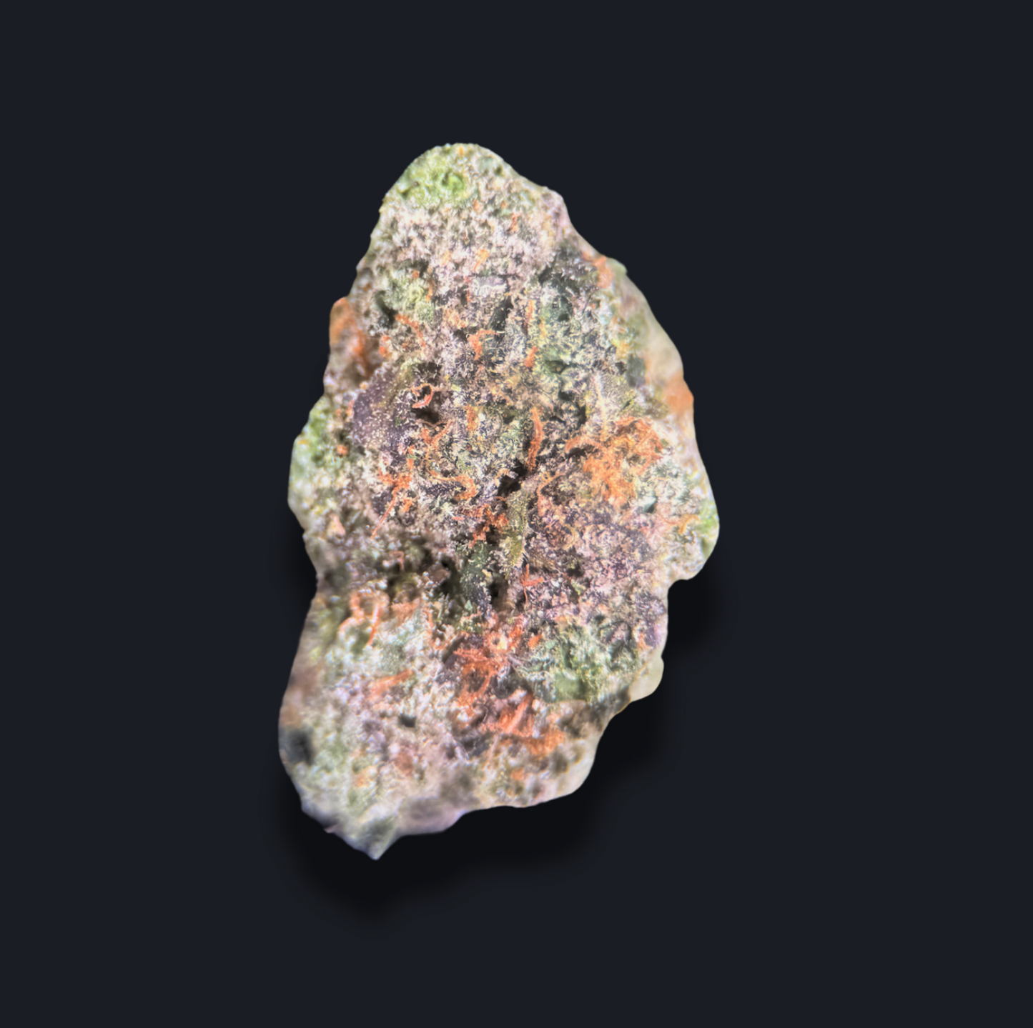 GUAVA RUNTZ