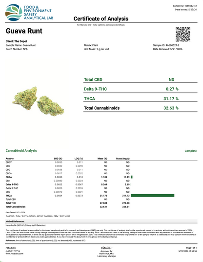 GUAVA RUNTZ