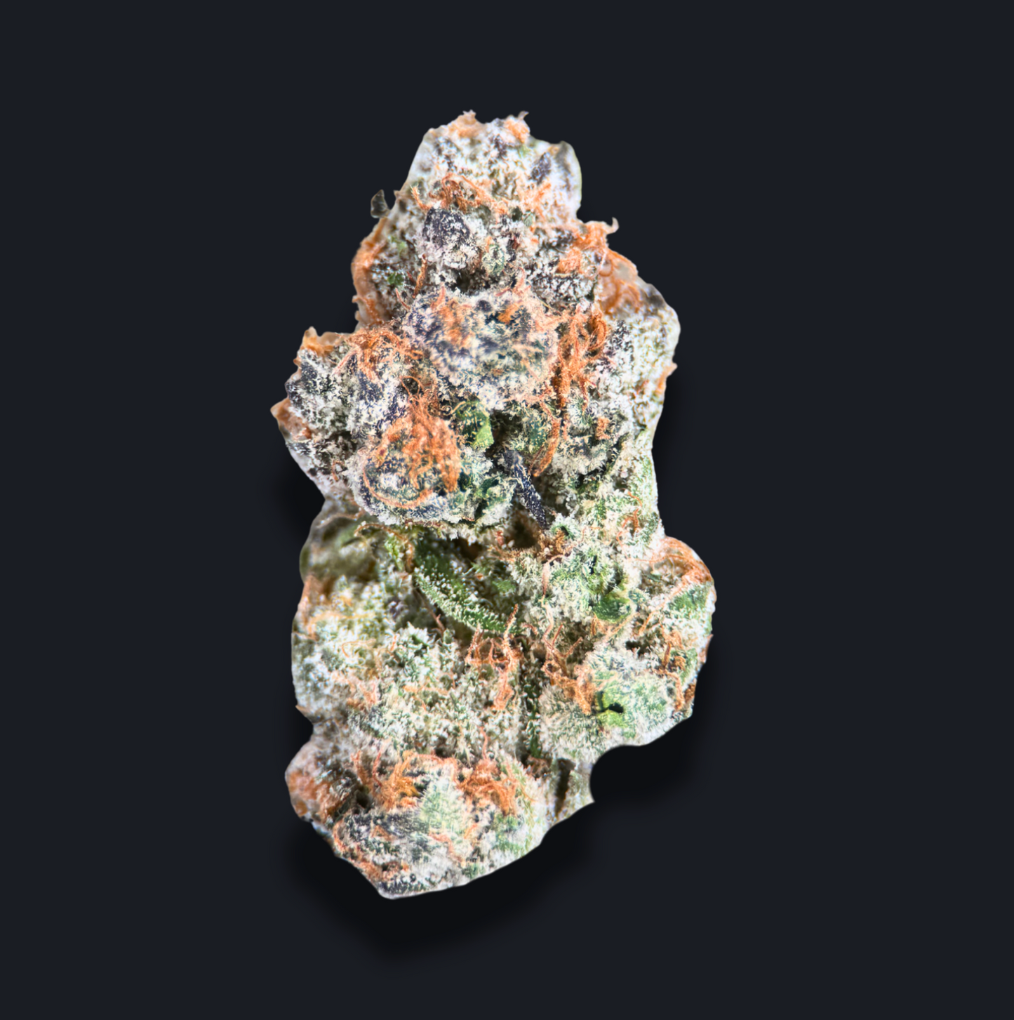 CANDY CARTEL