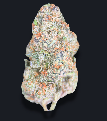 HUMBOLDT DREAM