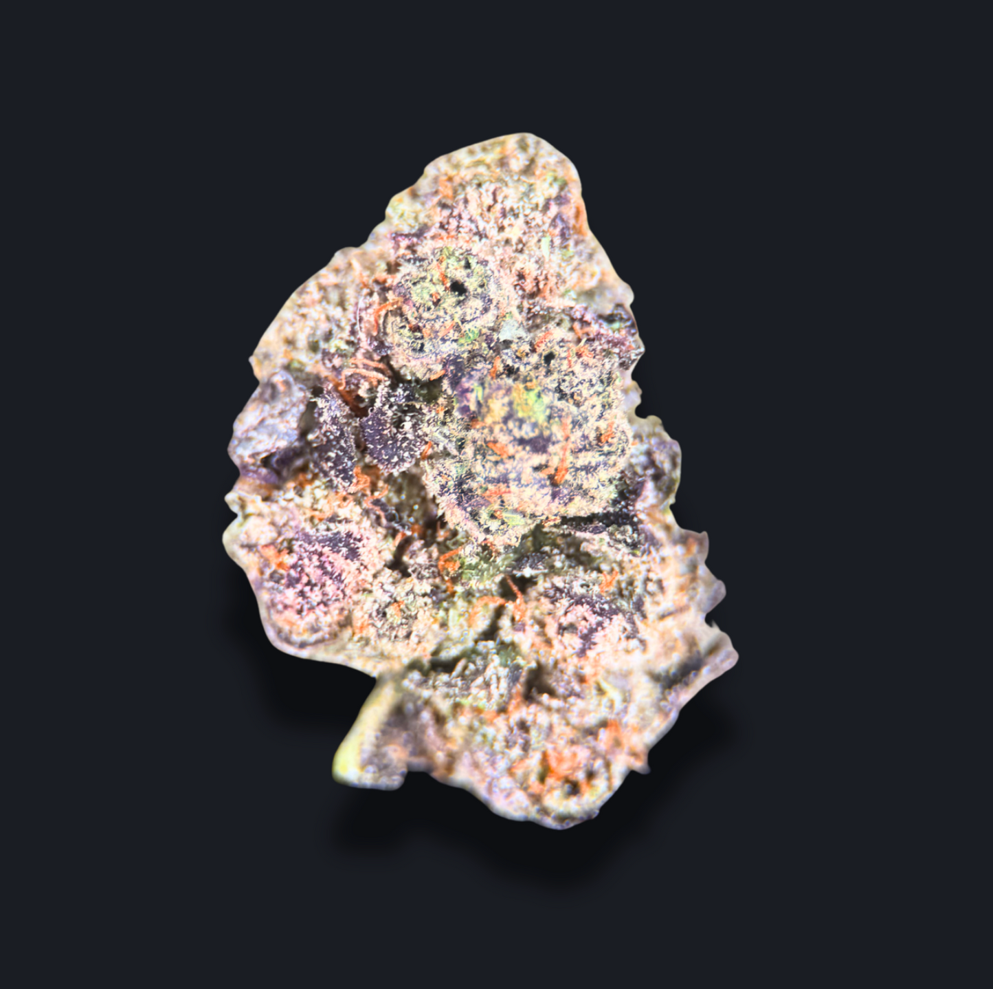 XJ-13