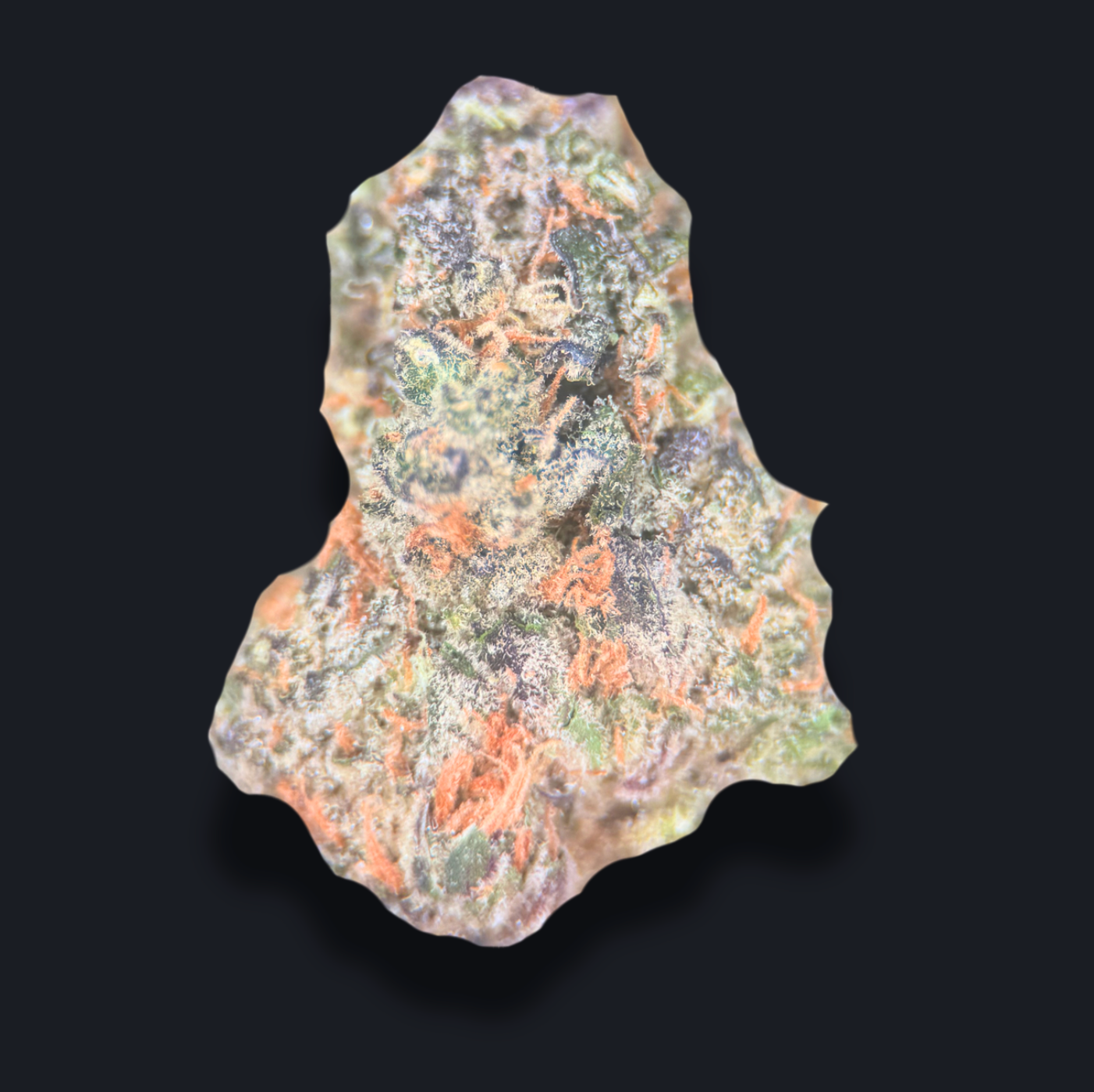 E-85