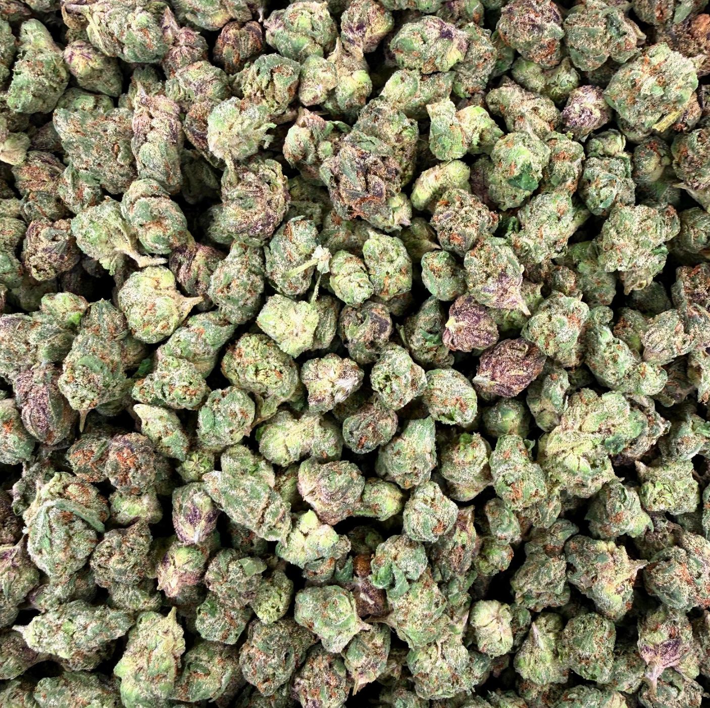 GRAPE CANDY SODA SMALLS