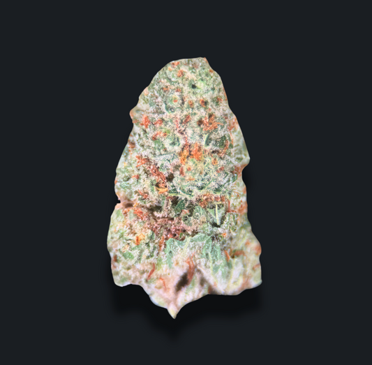 PAPAYA