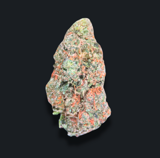 XJ-13