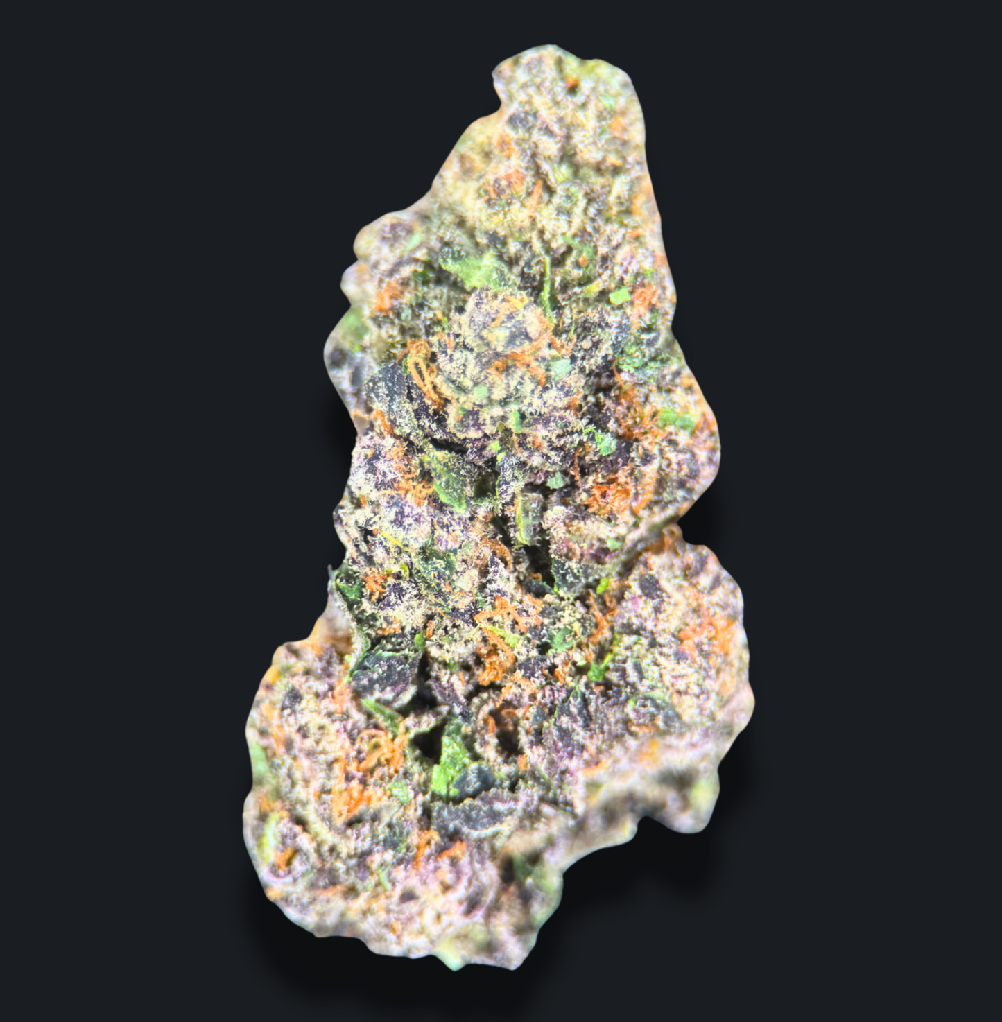 BLACK MAMBA