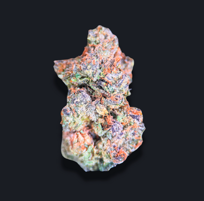 GUAVA RUNTZ