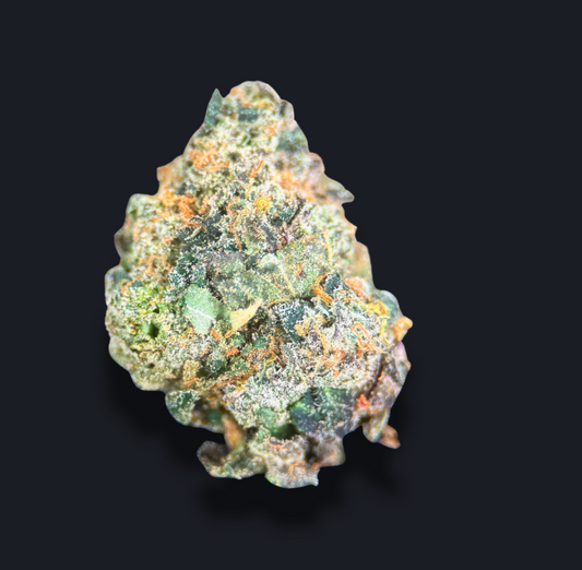GELATO CAKE