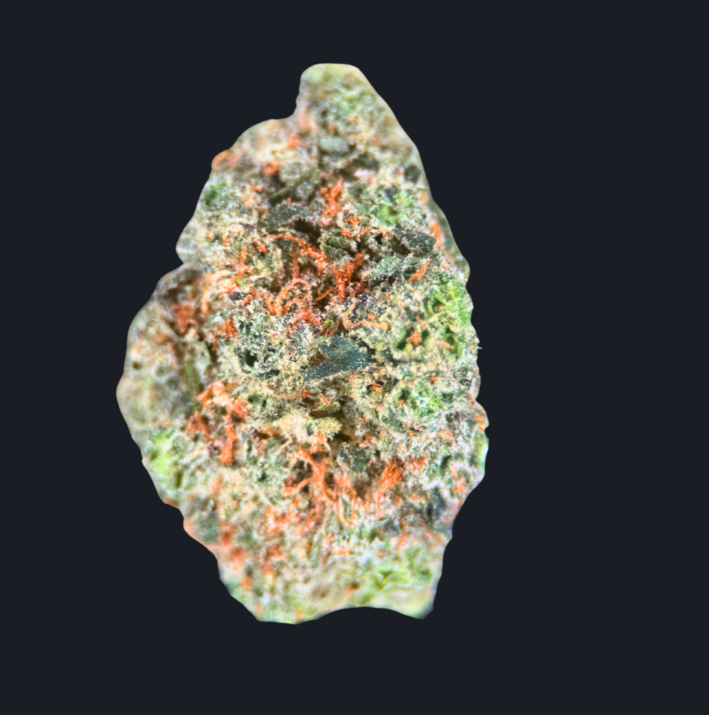 TRAP SOUR