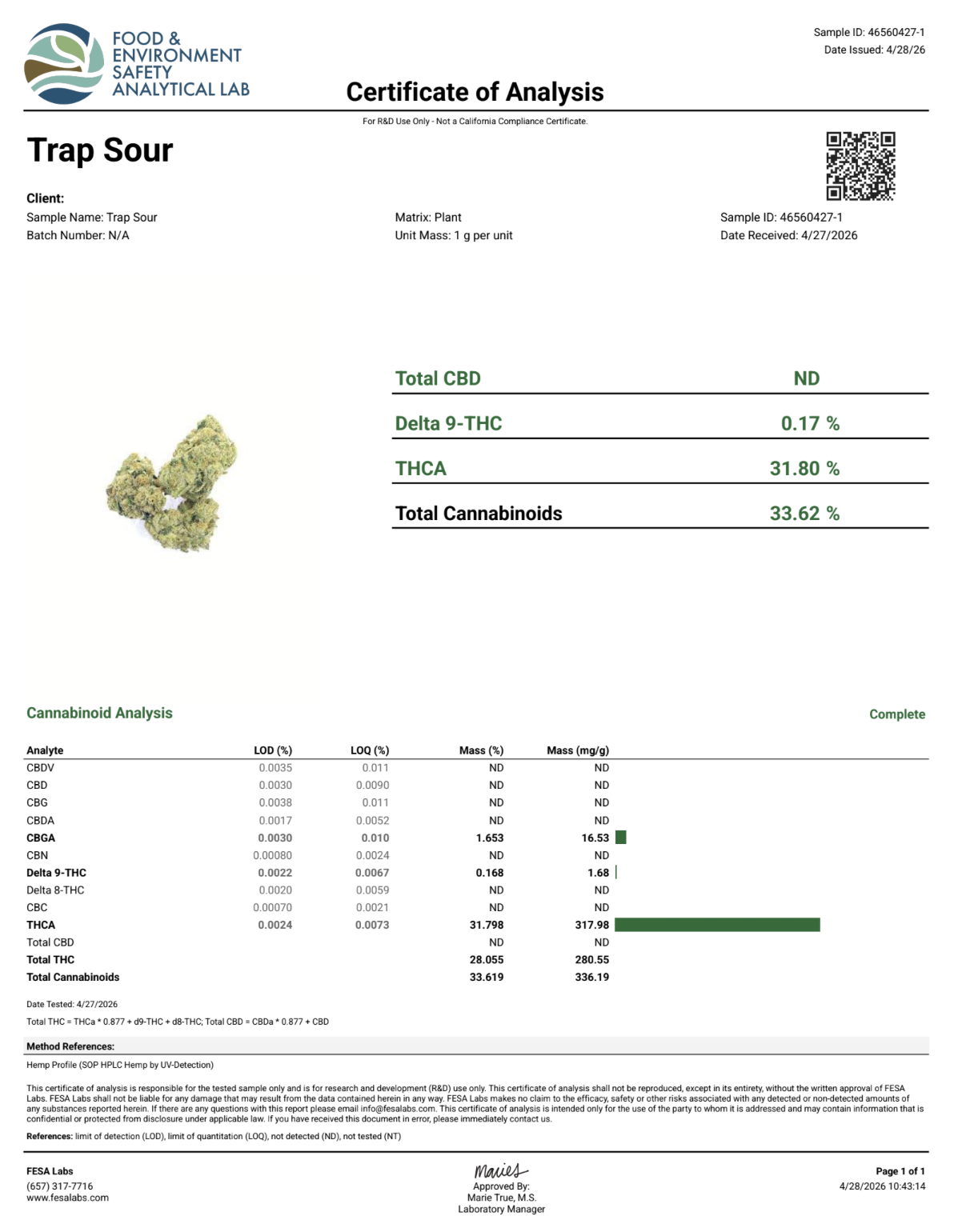 TRAP SOUR