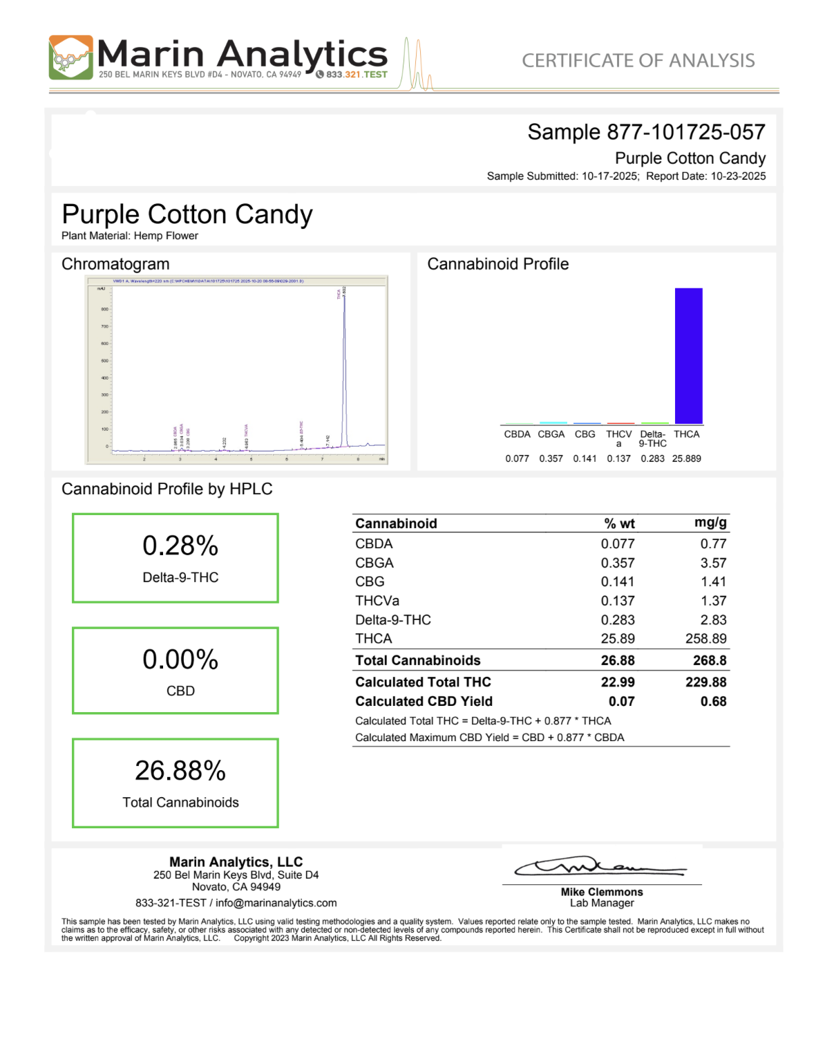 PURPLE COTTON CANDY