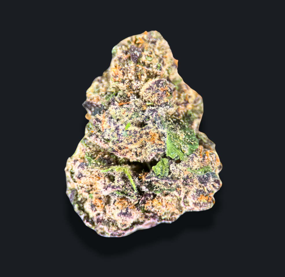 BLACK MAPLE