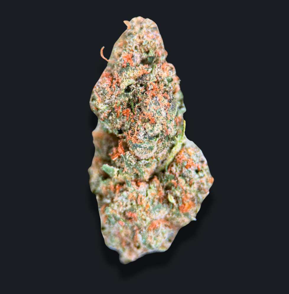 XJ-13