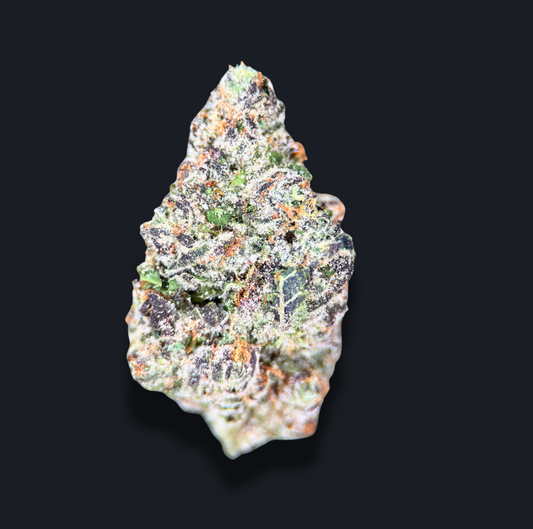 PURPLE SATURDAY