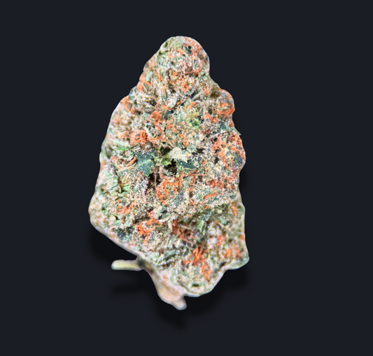 TRAP SOUR