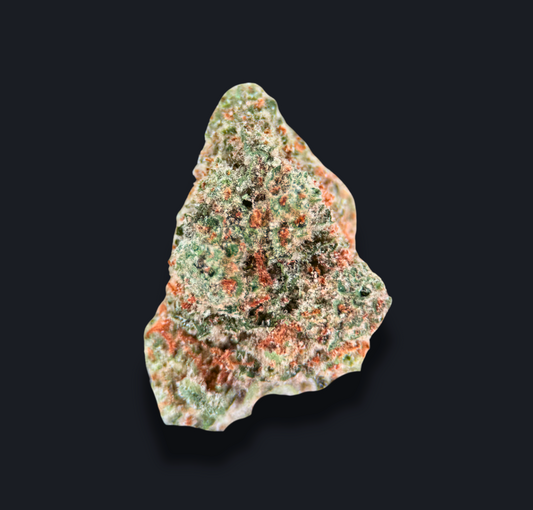 PAPAYA