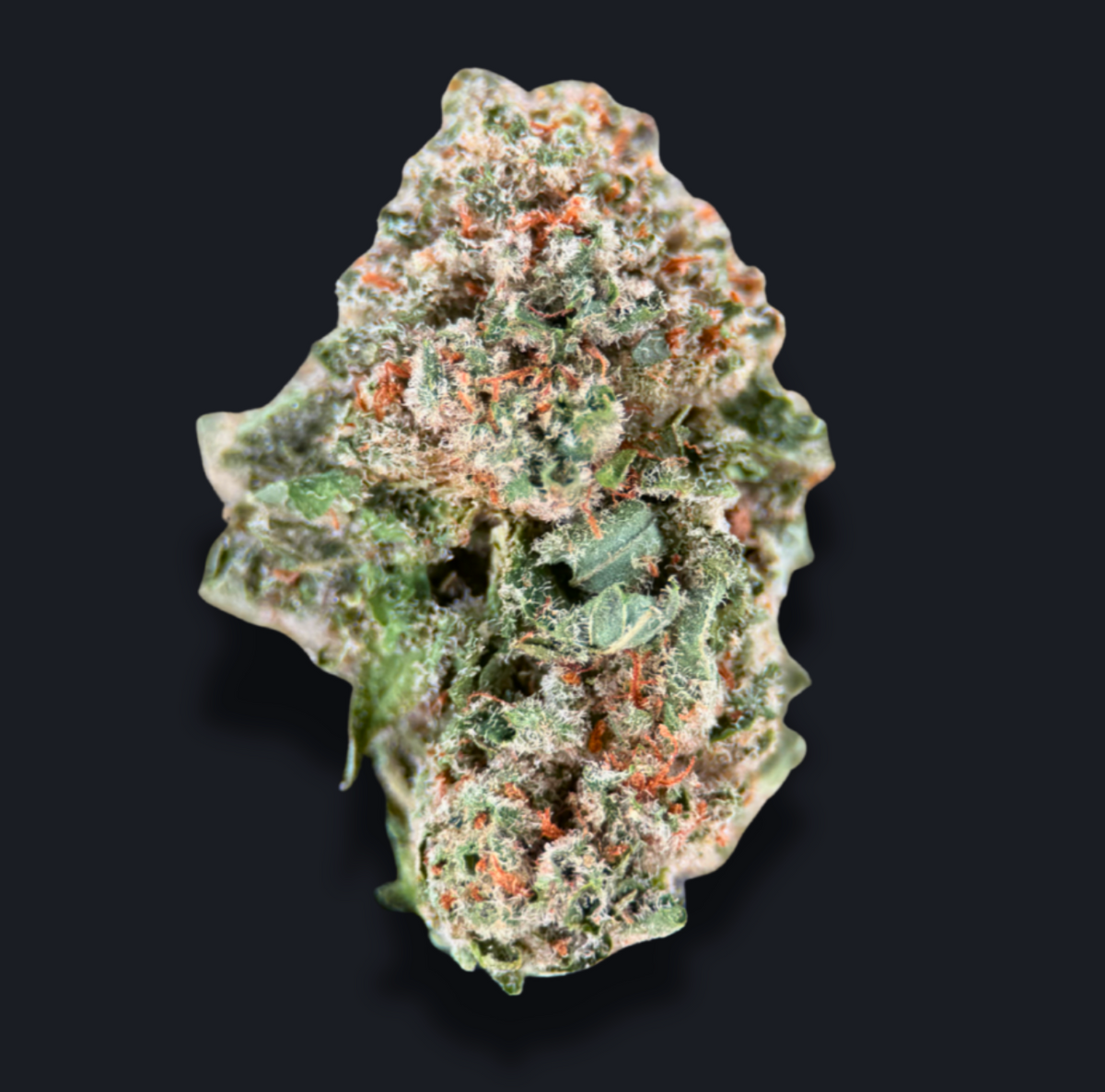 TRUFFLE POP