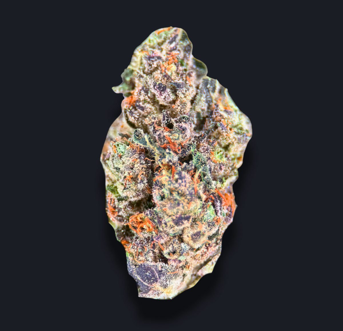 PURPLE LEMON PUNCH