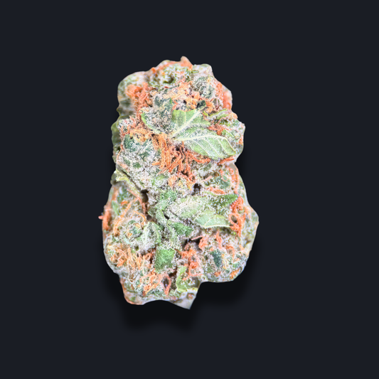 GUMBO BREATH