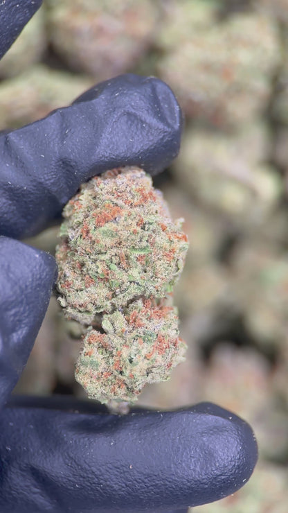 BUBBLEGUM CANDY