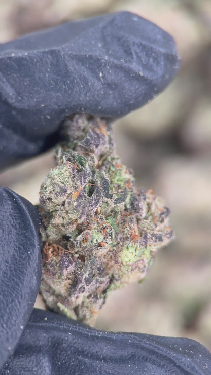 PURPLE LEMON PUNCH