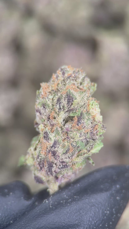 PURPLE CANDY RAIN
