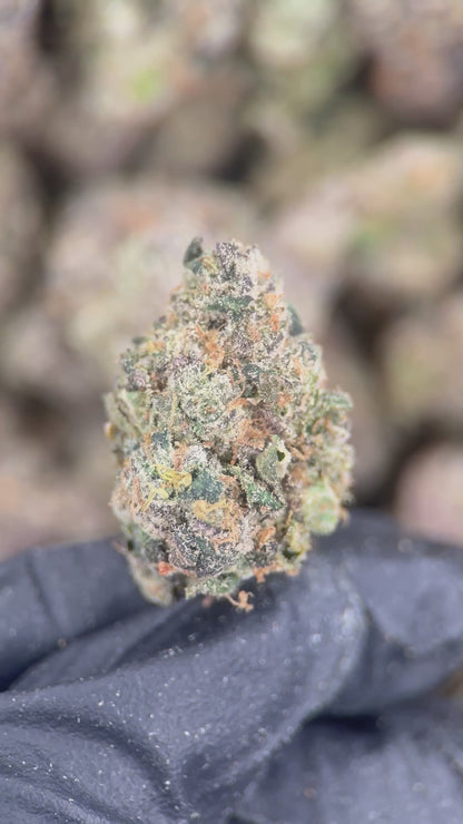 GELATO CAKE