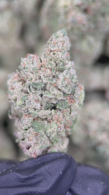 SUGAR BOMB