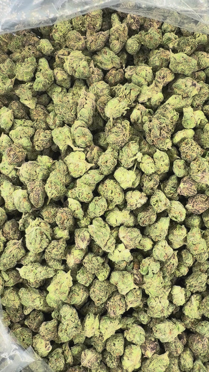 GRAPE CANDY SODA SMALLS