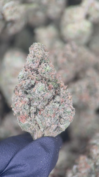 ASTRO CANDY