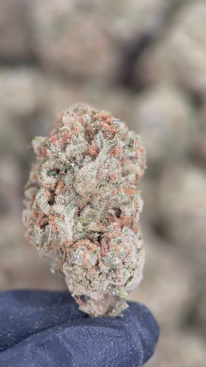COTTON CANDY