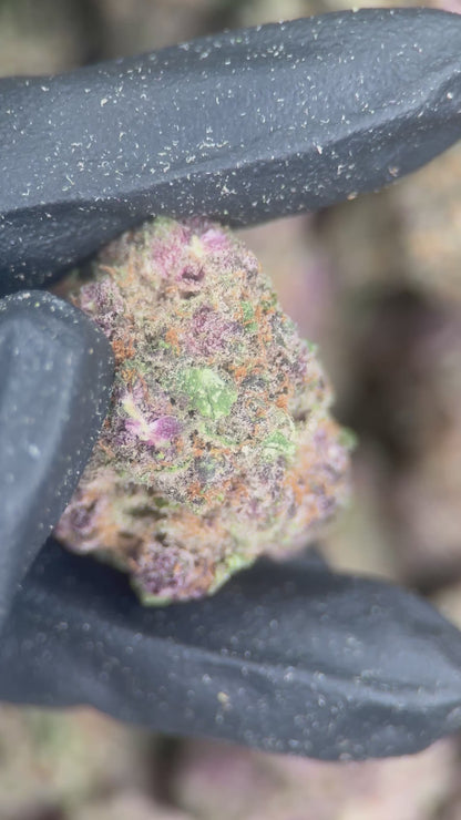 PURPLE COTTON CANDY