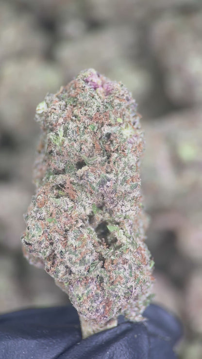 PLATNIUM OG