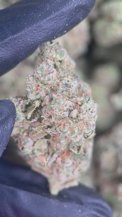 TAHOE OG