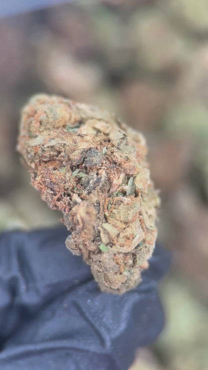 GELATO ICE