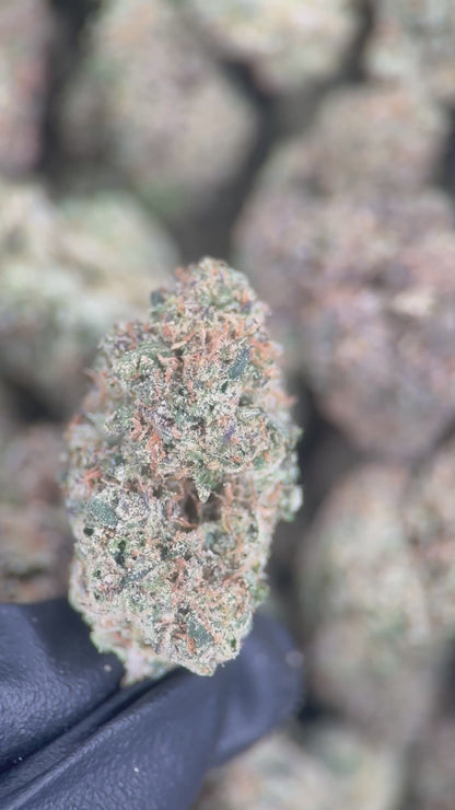 COTTON CANDY
